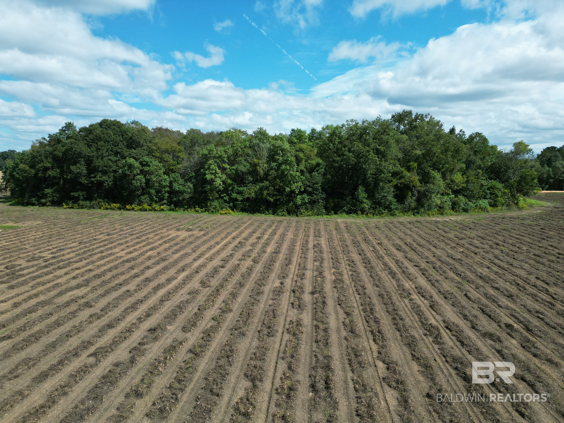 411750 | Photo 10