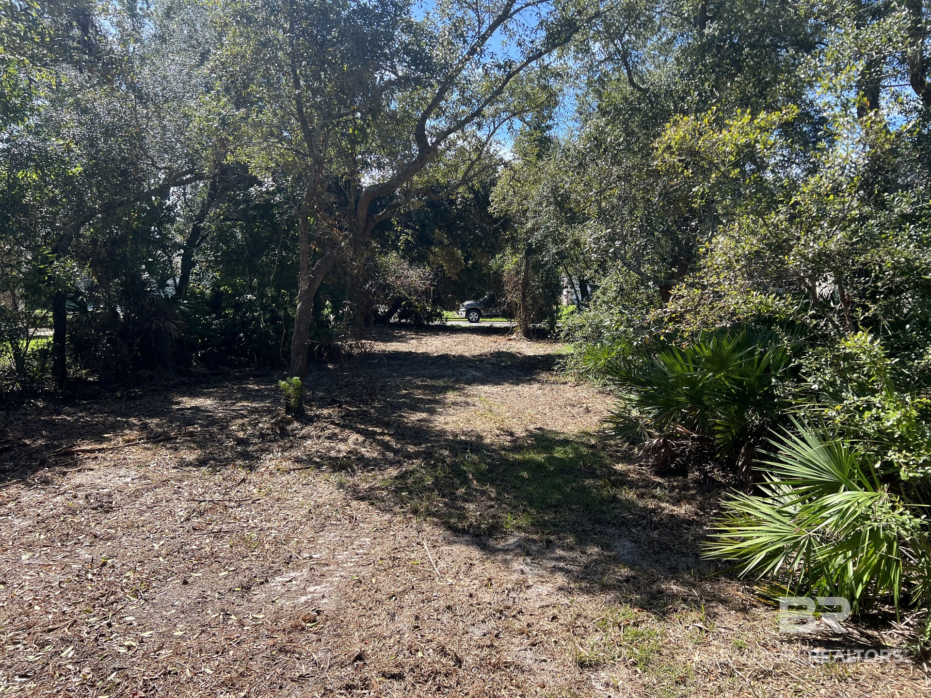 411752 | Photo 3