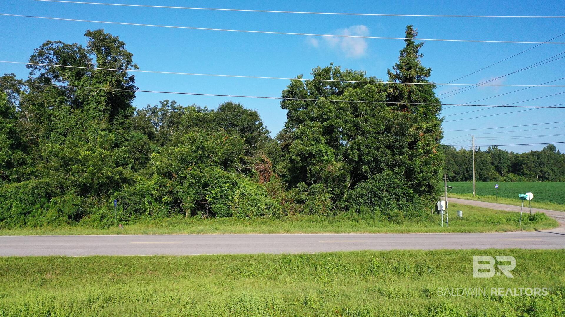 411797 | Photo 12