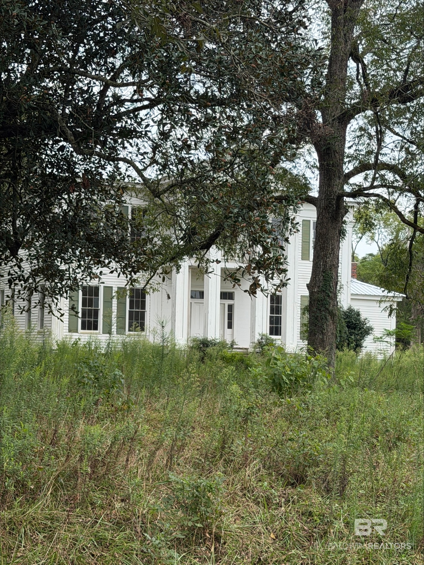411796 | Photo 22