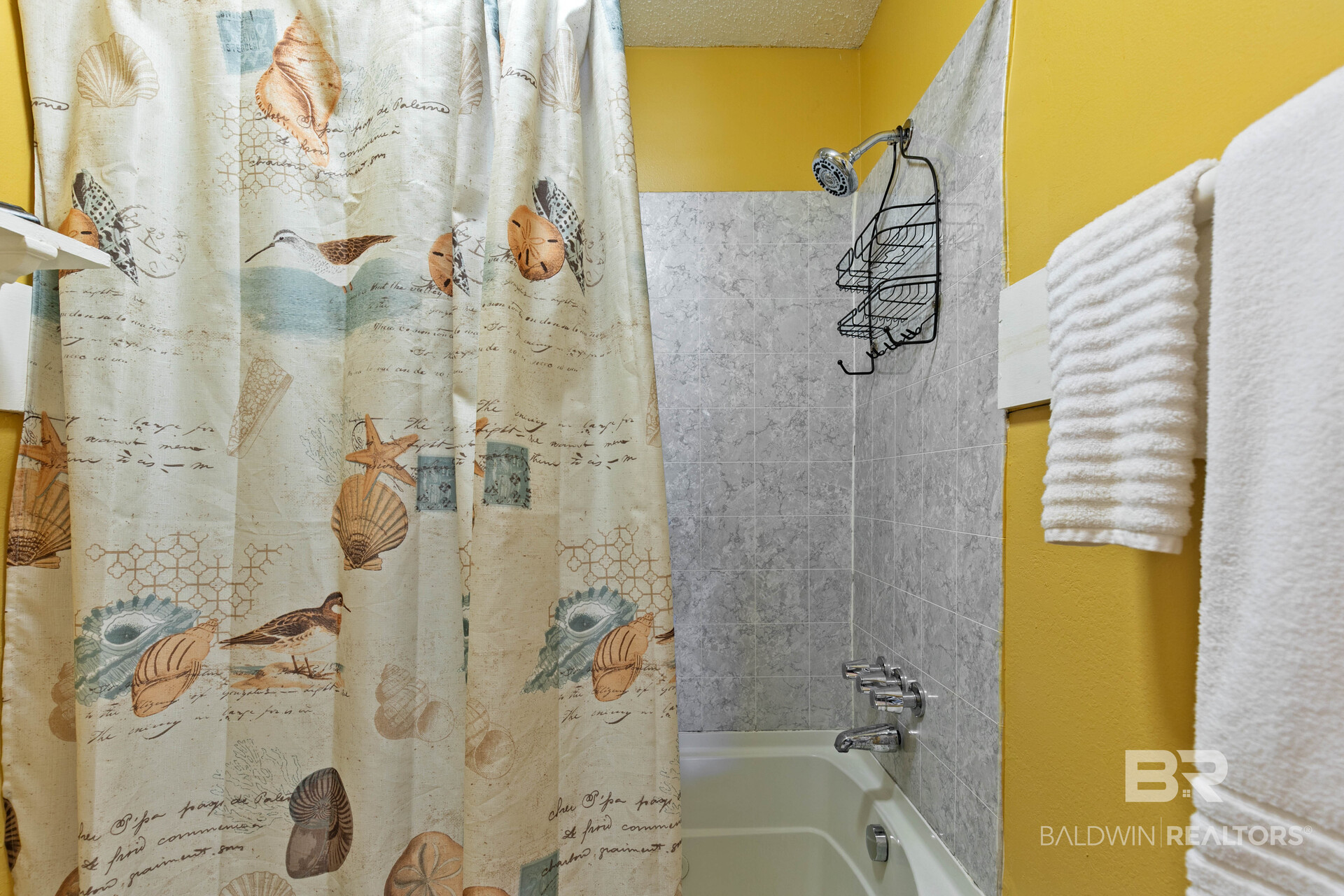 411521 | Photo 34