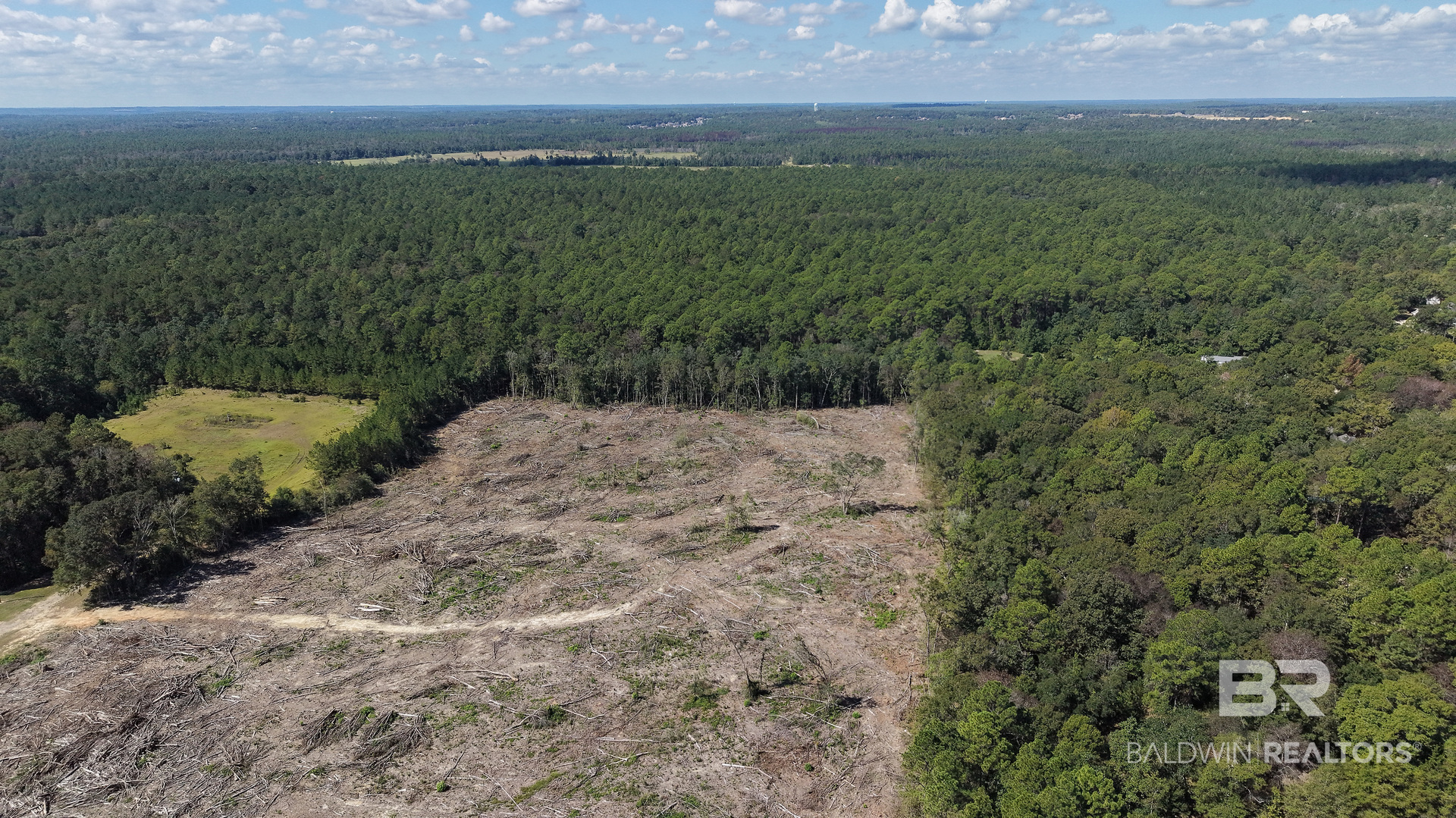 Photo 3 of Land for sale at 000 I 65 Service Rd, Satsuma, AL 36525 | MLS# 377743 | Listing updated on 2026-10-08