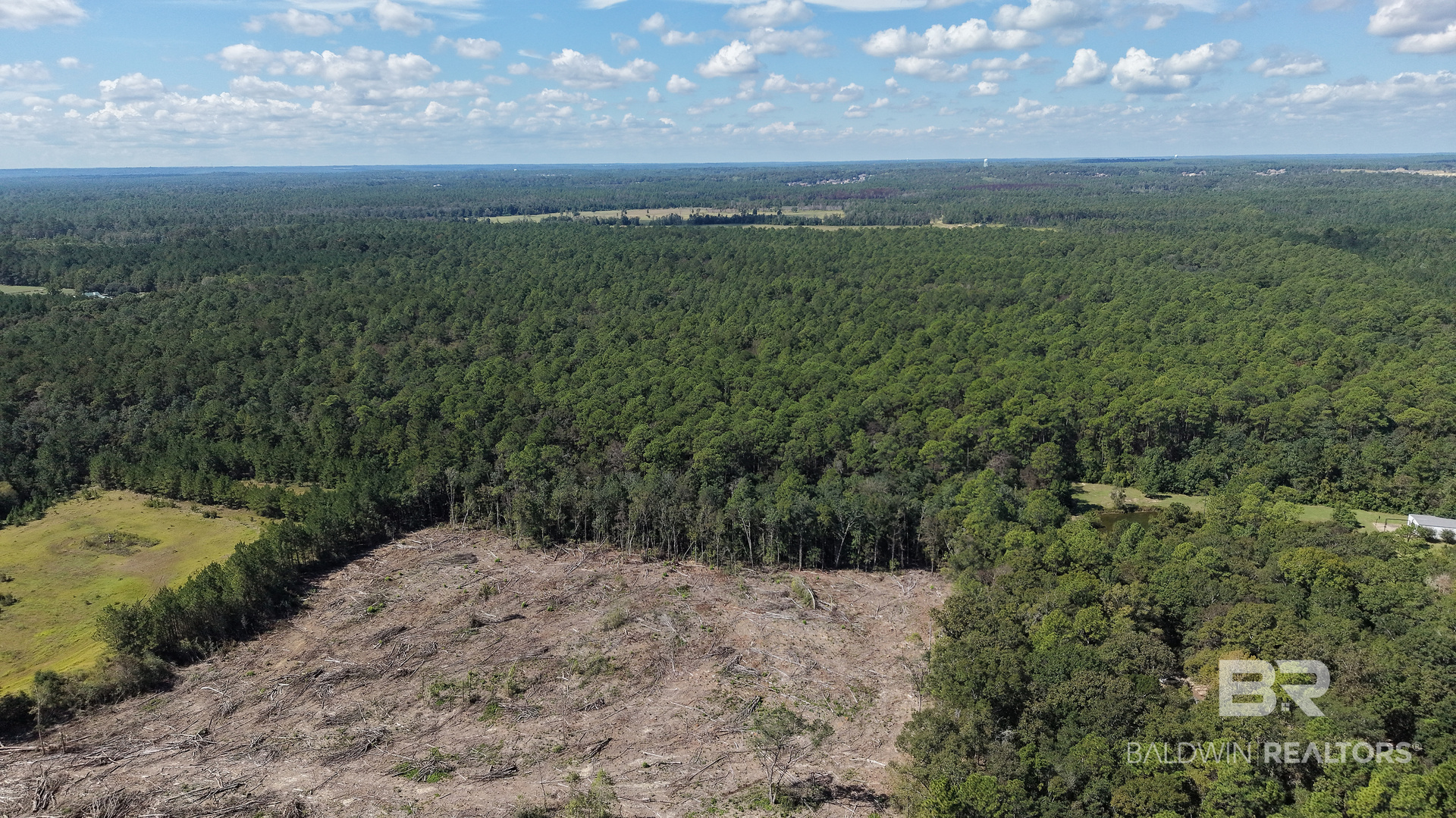 Photo 4 of Land for sale at 000 I 65 Service Rd, Satsuma, AL 36525 | MLS# 377743 | Listing updated on 2026-10-08