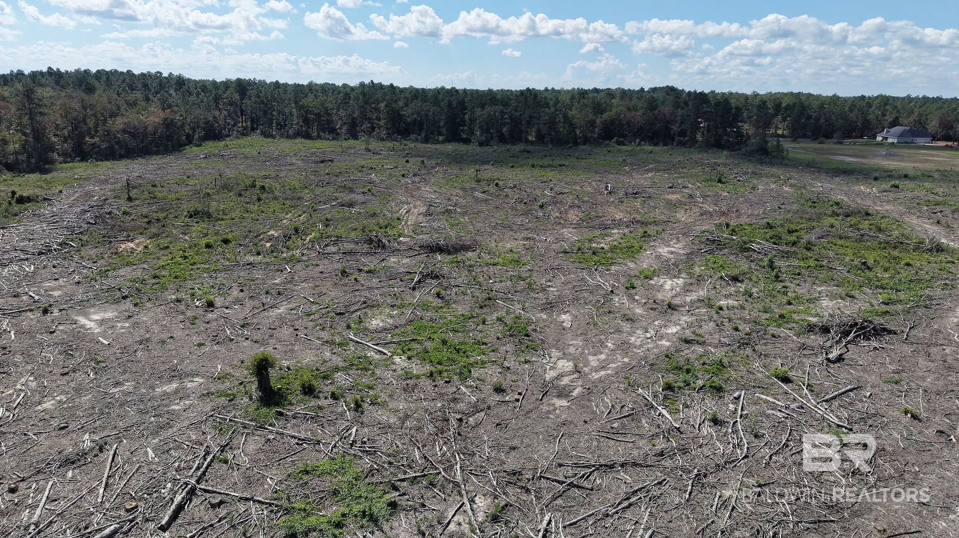 Photo 3 of Land for sale at 00 I 65 Service Rd, Satsuma, AL 36525 | MLS# 377739 | Listing updated on 2026-10-08