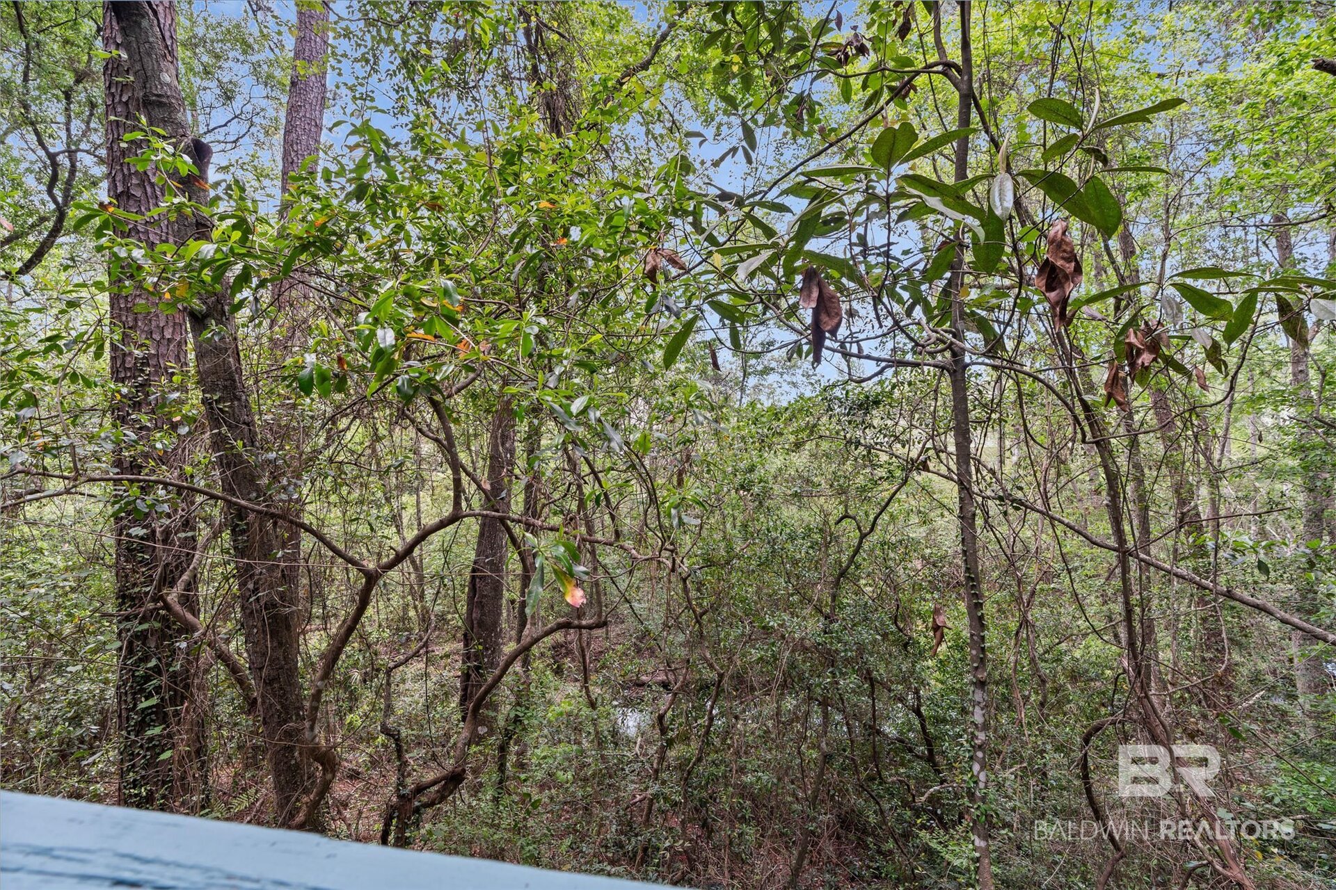 411832 | Photo 19