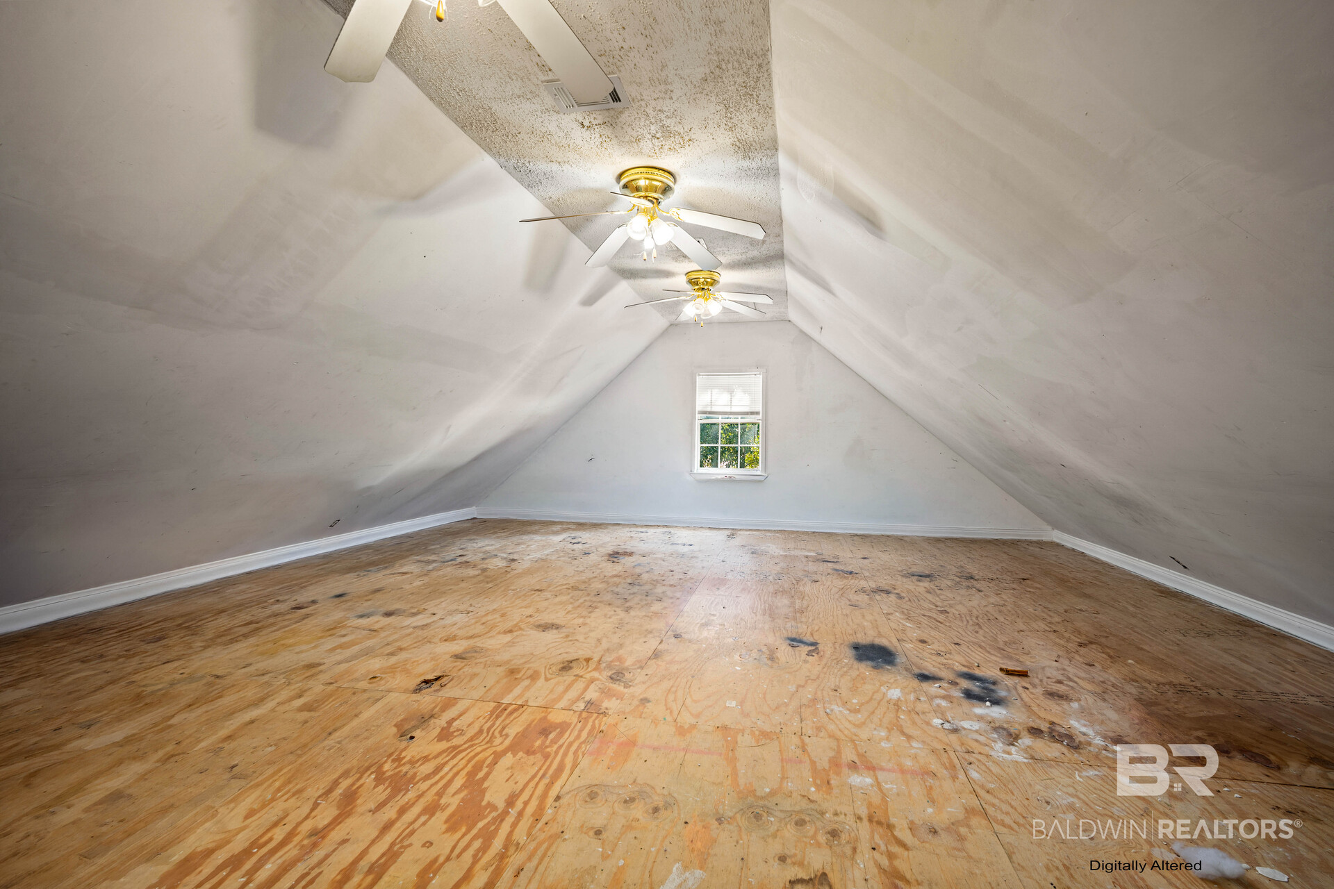 411597 | Photo 29