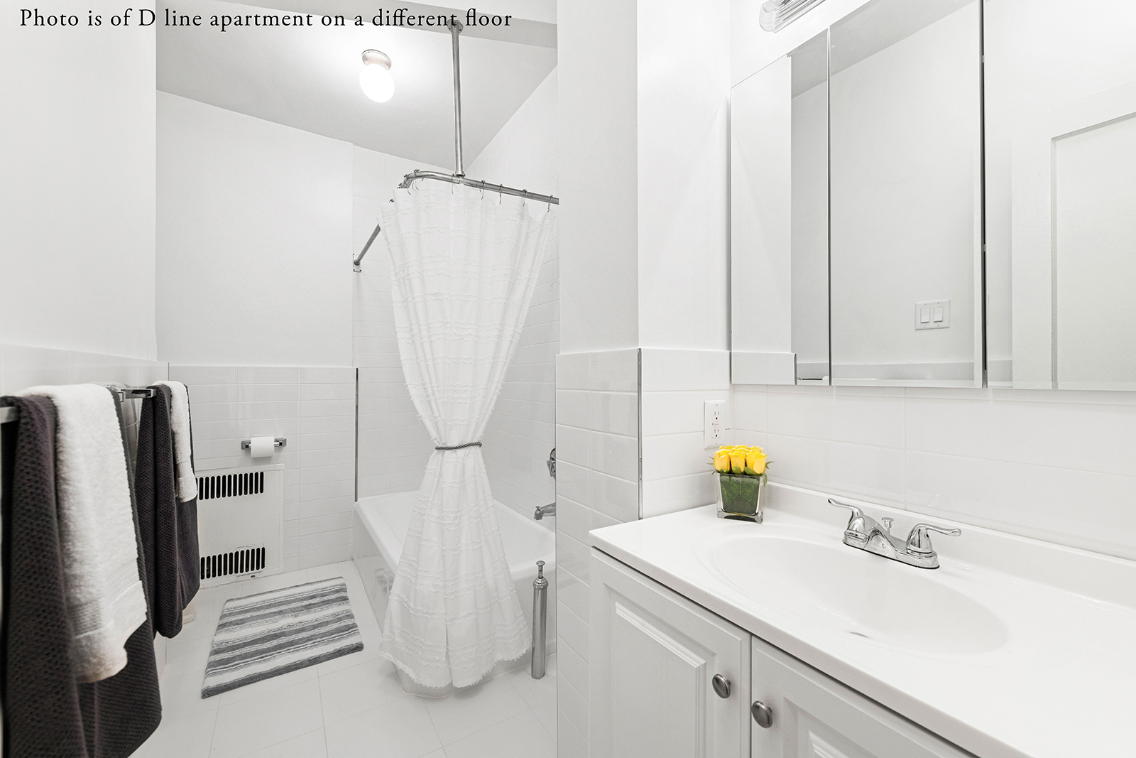 60 Plaza Street East 1D Prospect Heights Brooklyn NY 11238
