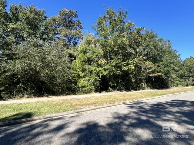 0 Flatwoods Drive 