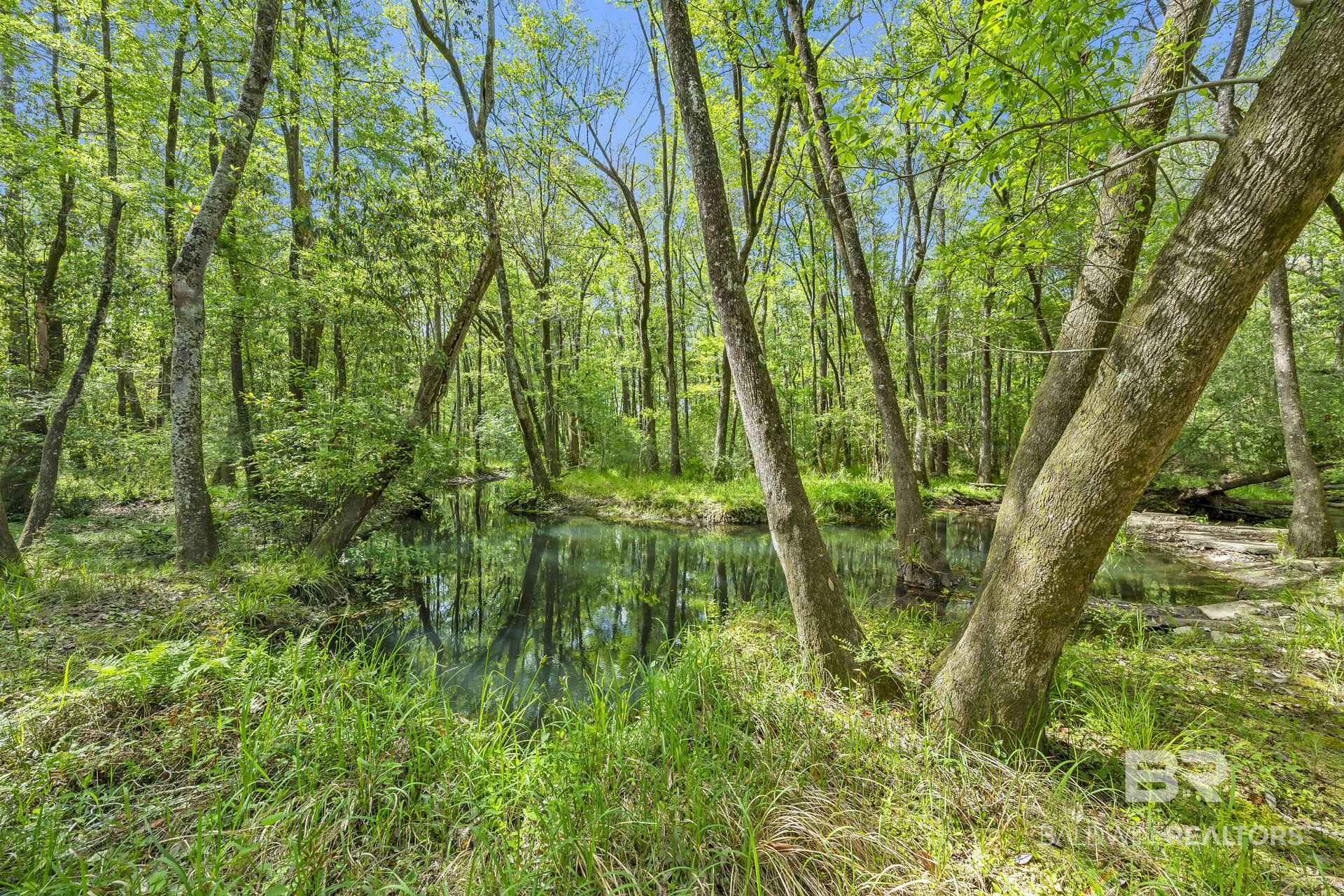 412328 | Photo 19