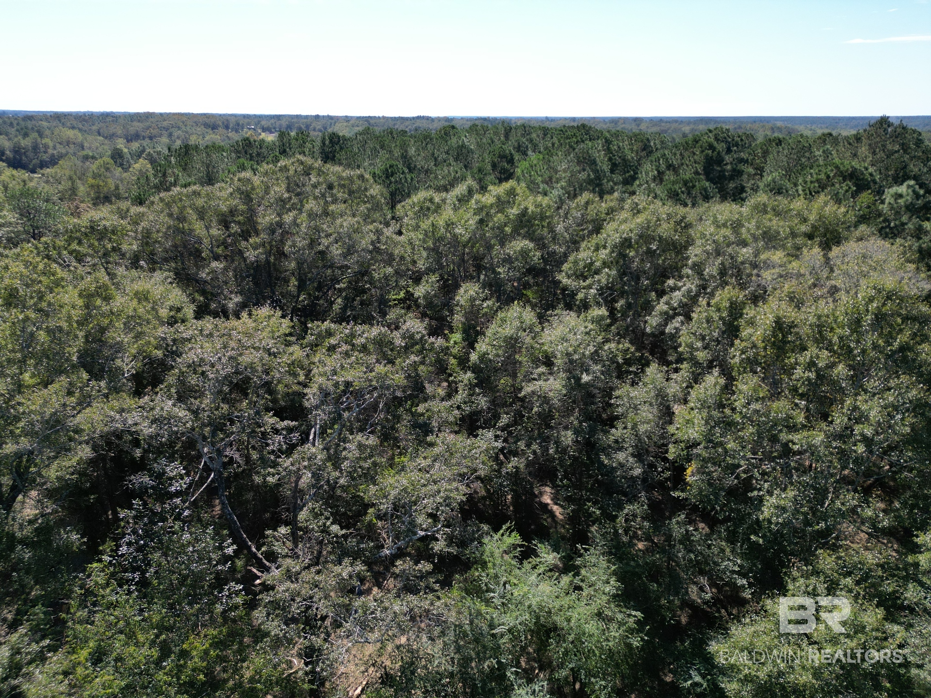 412399 | Photo 22