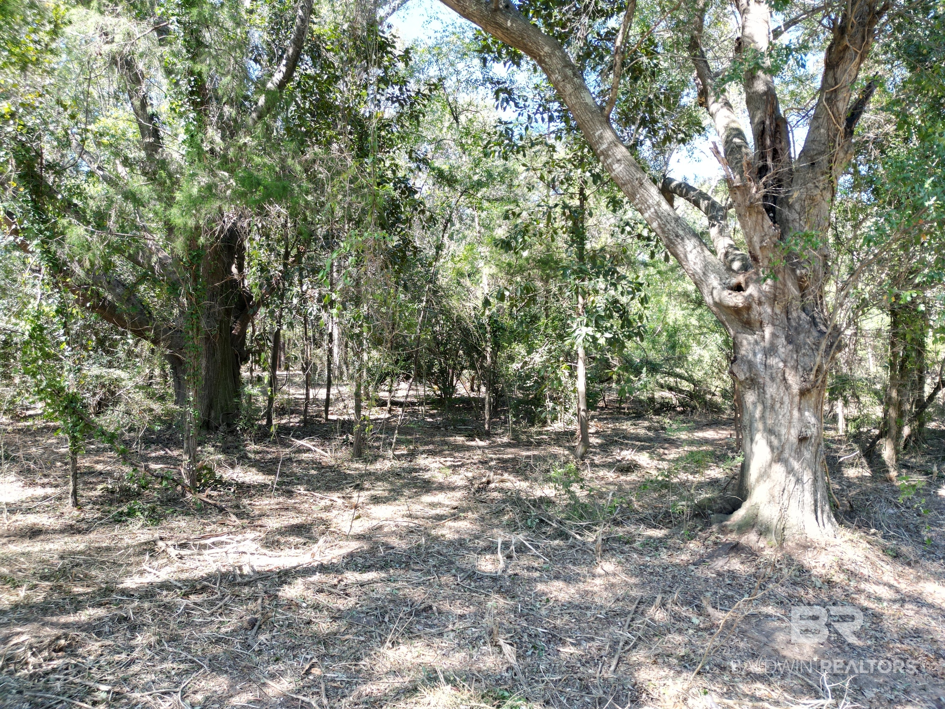 412401 | Photo 11