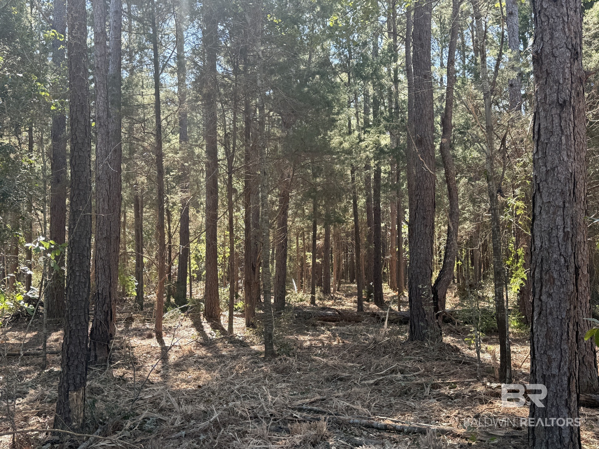 412406 | Photo 10