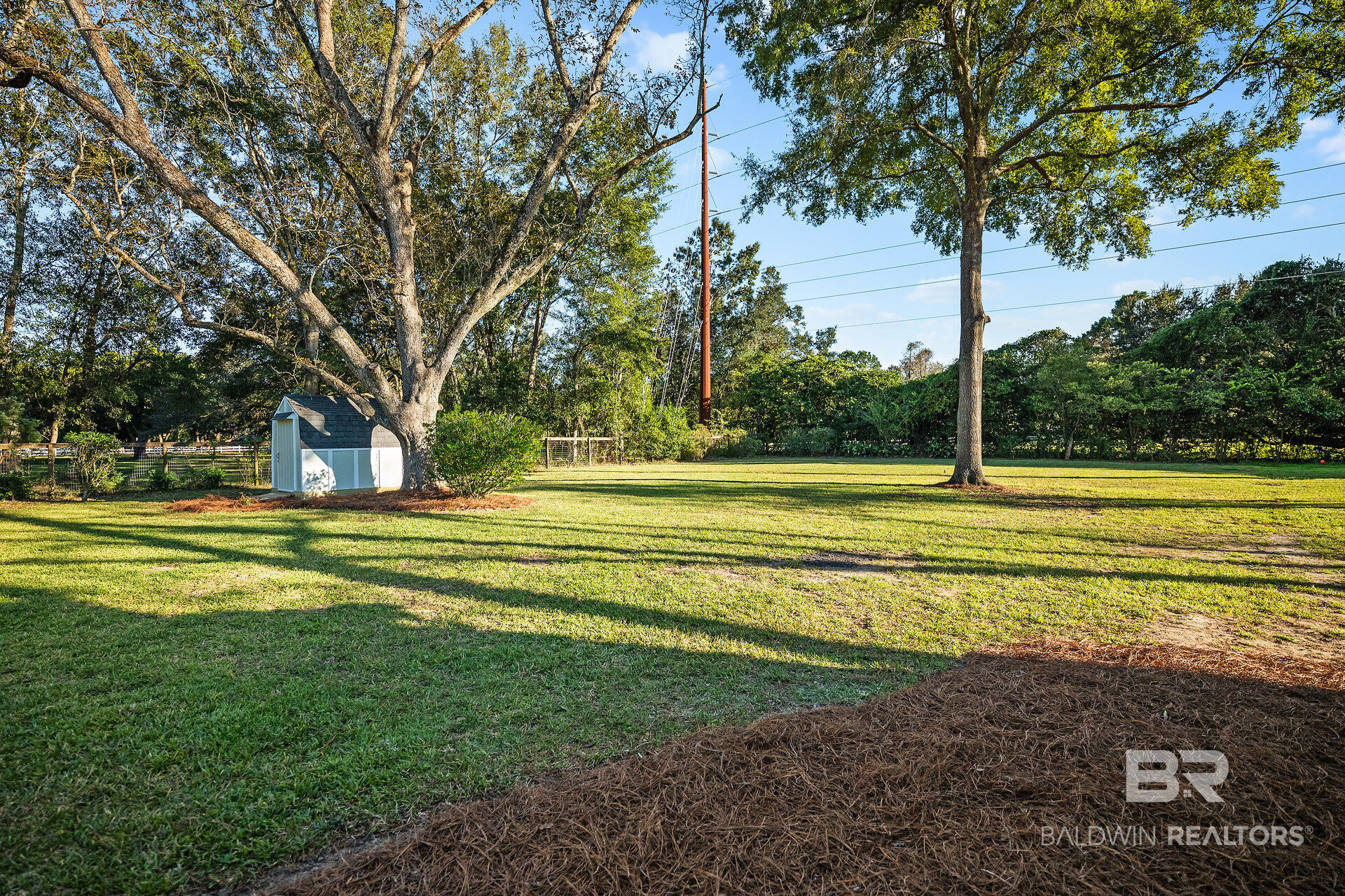412455 | Photo 12