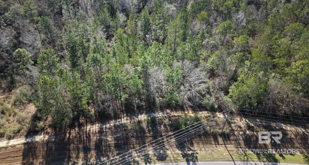 Homes for Sale in Tanager of Spanish Fort, AL.