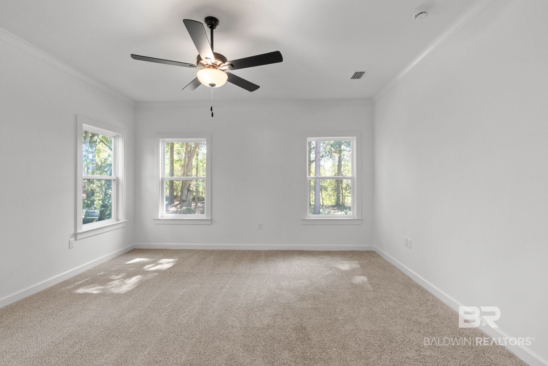 412811 | Photo 19