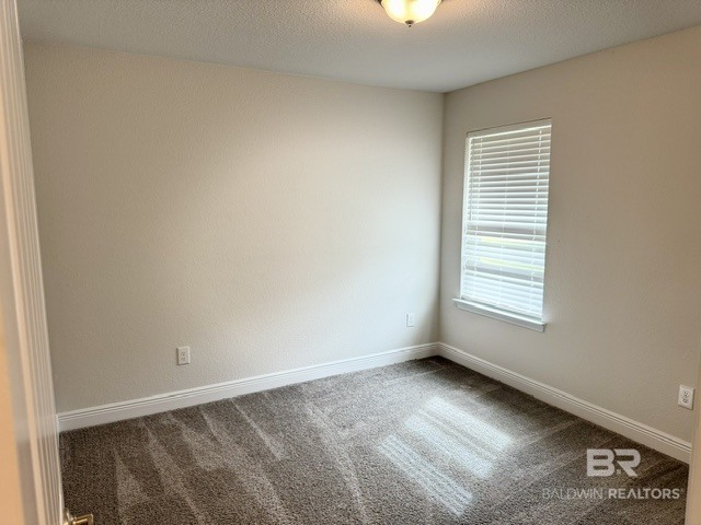 412716 | Photo 20